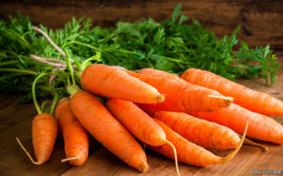 Customer Stories – Carrots, Karat and Carat